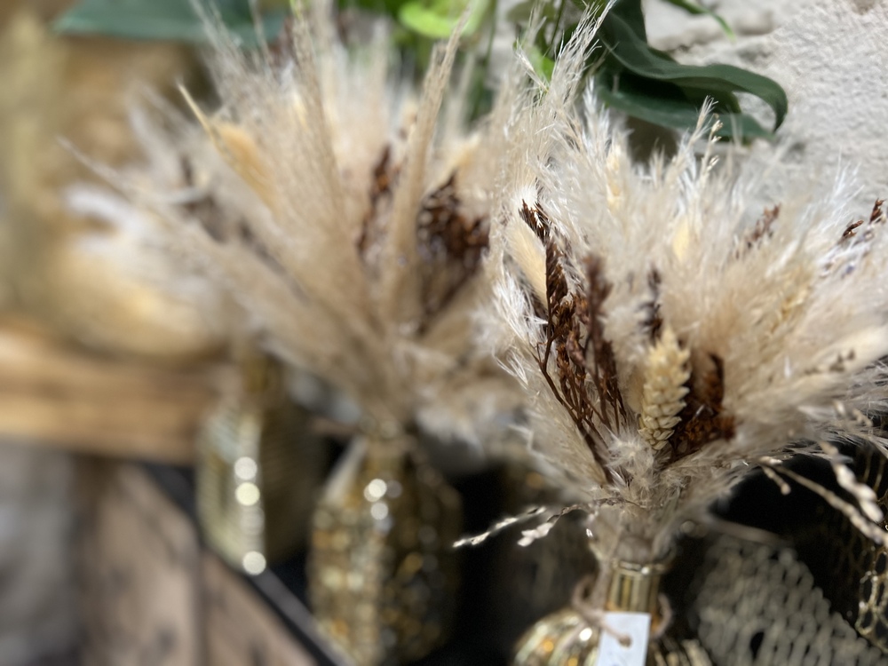 bouquets de fleurs séchées